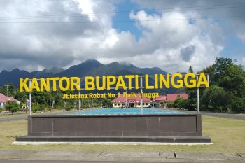 Masa jabatan Bupati Lingga berakhir bersamaan dengan putusan MK