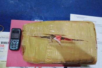 Polresta Padang amankan satu kilogram ganja dari tangan pengedar