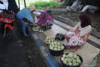 Pedagang Buah Srikaya