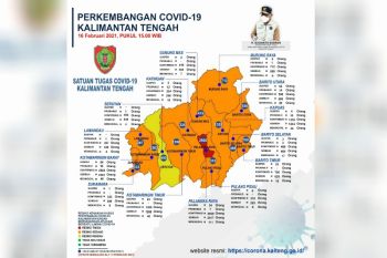 Palangka Raya masih zona merah terkait risiko kenaikan kasus COVID-19
