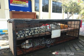 Polda DIY mengungkap enam kasus perniagaan kepemilikan satwa dilindungi