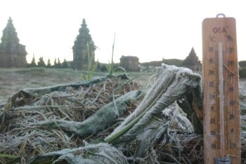 Objek wisata Candi Arjuna kembali dibuka
