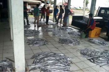Pascacuaca ekstrem, HNSI: Sebagian nelayan Cilacap mulai melaut