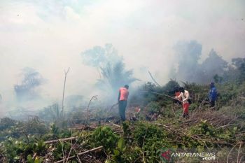 Kewaspadaan jangan kendur hadapi ancaman karhutla, kata Jokowi