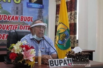 Bupati Buol tekankan dana desa harus gerakkan ekonomi warga