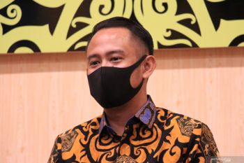 Wali Kota Palangka Raya pastikan tindak tegas pelaku pembakar lahan