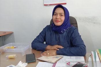 Usulan masyarakat desa didominasi infrastruktur dan jaringan telekomunikasi