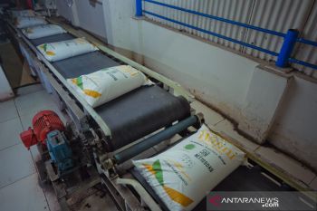 PTPN XIV Makassar fokus kejar target produksi gula di tengah pandemi COVID-19