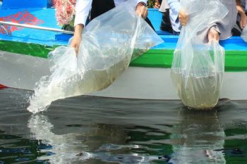 Pemkot Palangka Raya dorong masyarakat maksimalkan potensi perikanan