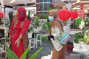 Sejumlah warga Kota Makassar berburu tanaman hias di akhir pekan