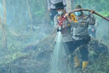 Waduh, enam hektare lahan di Inhil terbakar