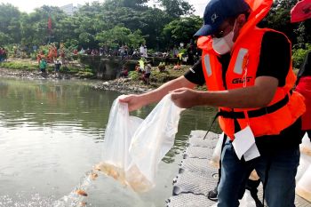 Djarot: Ini gerakan politik hijau PDI Perjuangan
