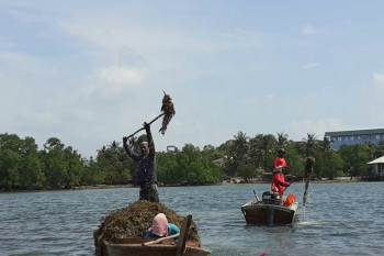 A sneak peek into rengkam paradise Amat Belanda Island
