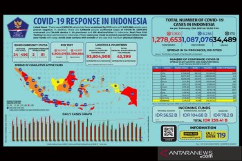 Pasien sembuh COVID-19 di Indonesia bertambah 8.236 kini  jadi 1.087.076 orang