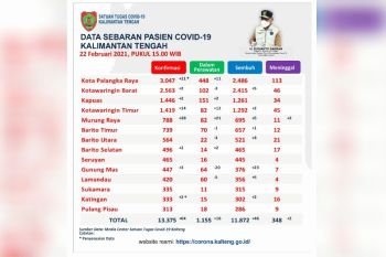 Palangka Raya, Kobar dan Kapuas tertinggi kumulatif positif COVID-19