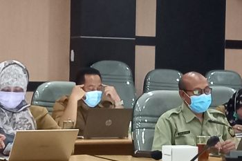 Pemkab Kulon Progo merefocusing APBD 2021 sebesar Rp75 miliar
