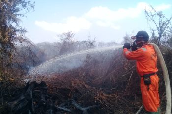 Kebakaran lahan sawit di Tiku Agam meluas jadi 6,5 hektare