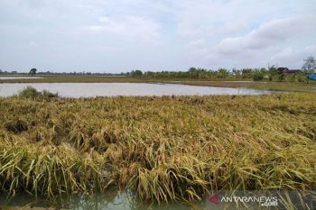 BMKG: Waspadai potensi banjir di sejumlah daerah