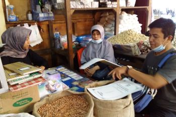 Meski ada kenaikkan, harga pangan di Kota Payakumbuh masih normal