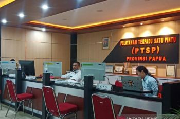 Investasi penanaman modal asing di Papua meningkat 30 persen
