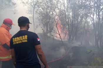 46 kasus kebakaran terjadi di Tanjungpinang Januari-Februari