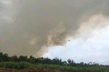 Empat hektare semak belukar terbakar, helikopter bom air Kampung Bunsur Siak