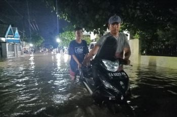 Intensitas hujan tinggi, ratusan rumah di Dompu terendam banjir