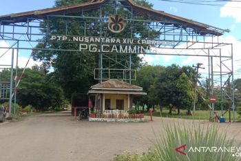 PTPN XIV berupaya pertahankan aset negara di Kabupaten Bone