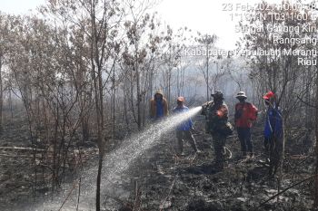 Lahan gambut di Pulau Rangsang terbakar, petugas berjibaku lakukan pemadaman