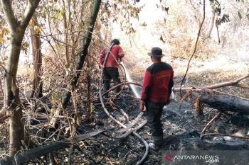 Karhutla di ujung Kabupaten Siak, Tim Fire Fighter RAPP bantu padamkan