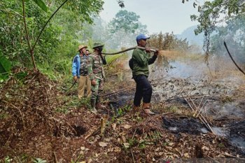 Luas lahan yang terbakar di Riau mencapai 248 hektare, begini penjelasannya