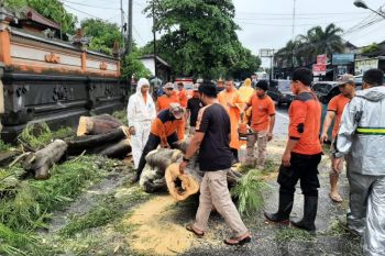 BPBD: Hujan deras di Kota Mataram diprediksi hingga lima hari ke depan