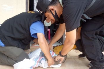 KSDA Agam evakusi trenggiling dari Pasaman Barat
