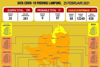 Jumlah pasien COVID-19 di Lampung bertambah 68 kasus
