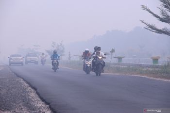 Antisipasi karhutla, Pemkot Palangka Raya maksimalkan peran kelurahan