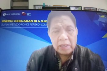Realisasi restrukturisasi kredit  di Sulteng Rp5,14 triliun hingga 2021