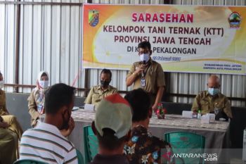 Kelompok tani ternak di Pekalongan didorong kembangkan produk olahan