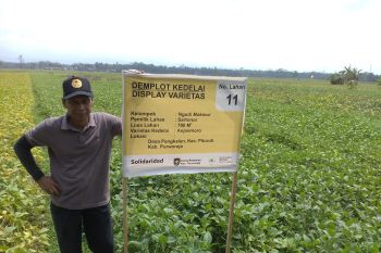 Akademisi sebut petani bisa mulai siapkan benih kedelai saat pancaroba