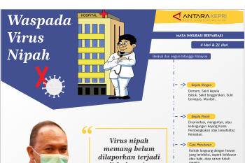 Waspada virus nipah