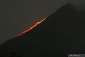 Merapi tujuh kali luncurkan guguran lava