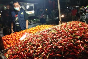 Harga cabai di Palangka Raya meroket hingga Rp130.000 per kilogram