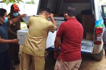 Satgas COVID-19 Baubau menerima 1.100 dosis vaksin tahap dua