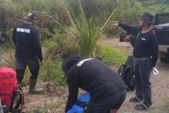 ICS perkuat perhutanan sosial jaga wilayah jelajah harimau Sumatera di Solok Selatan