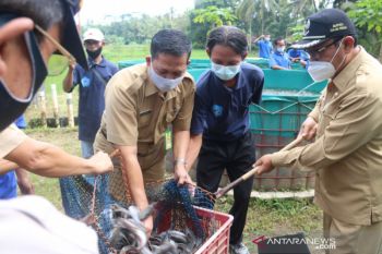 DKP Kulon Progo berikan bantuan sarana produksi kepada 60 pokdakan