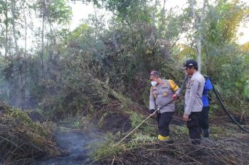 Tasik Putripuyu membara, Kapolres dan Wabup Meranti turun