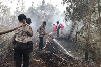 Personil gabungan di Inhil bermalam di hutan untuk padamkan Karhutla