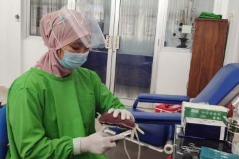 UTD PMI Lampung catat empat orang penyitas COVID-19 donor plasma konvalesen