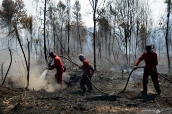 BBKSDA Riau selidiki perambah dan pembakar Cagar Biosfer Giam Siak Kecil
