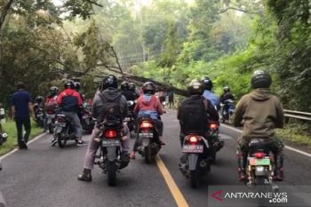 BPBD Gunung Kidul mengimbau masyarakat waspadai angin kencang