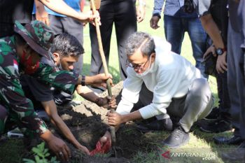 Wabup Jeneponto : Penghijauan perlu upaya terpadu dengan libatkan stakeholder